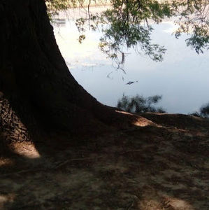 Meet your Posher, Junior